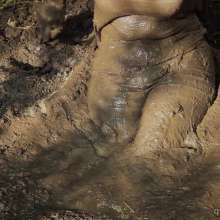 QS4Ever: Testing Clay Pit: Tiny