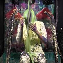 LiquidX: The Human Carwash: Rick Moore