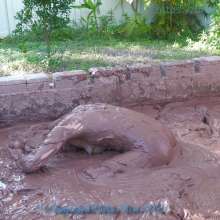 Dirty Muse: Vika--In Cold Mud Part 1