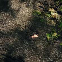QS4Ever: Black Bottomless Forest Mud: Lucy