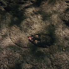 QS4Ever: Black Bottomless Forest Mud: Lucy