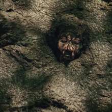 QS4Ever: Black Bottomless Forest Mud: Lucy