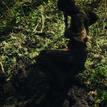 QS4Ever: Black Bottomless Forest Mud: Lucy