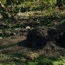 QS4Ever: Black Bottomless Forest Mud: Lucy