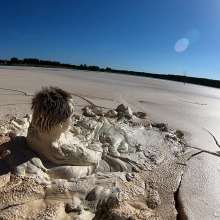 TannerQS: Boots Stuck and Sunk in Quick Mud