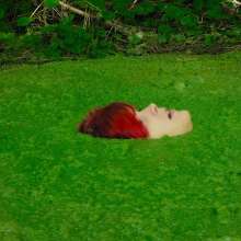 QS4Ever: Environmental Pollution: Mary
