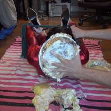 Jayce: Hogtied and Pied by an Imposter!  Where Are You, My Love?