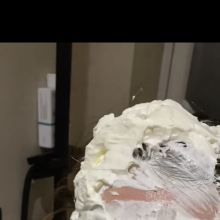 Galactico91: The wife gets pied!