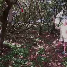 custardcouple: Mrs CC's Amazon Adventure