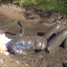 custardcouple: Muddy My White Jeans