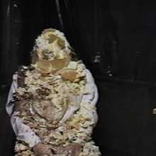 Pie Plastered Tranny: 