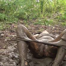 custardcouple: Posh Bitch Gets Mud
