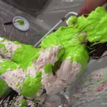 Miss Nicole: The Divine Daisy Is Buried in Whipped Cream Pies and Slime