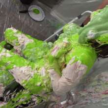 Miss Nicole: The Divine Daisy Is Buried in Whipped Cream Pies and Slime