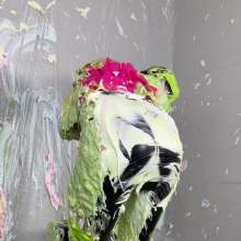 Miss Nicole: The Divine Daisy Is Buried in Whipped Cream Pies and Slime