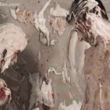 Anglefan: Aida does the pieing, only it backfires!
