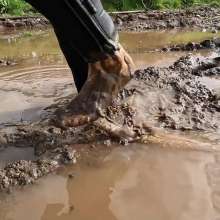 WetandMuddy: Video 101--Muddy Footprints