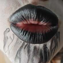 KBFantasyfamily: Black&white Blowjob