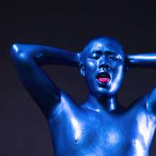 KohbaltPup: Blue and Silver Sex