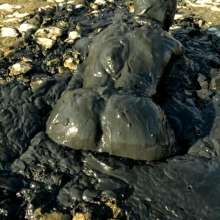 TannerQS: Bottomless Black Mud Is Back on the Menu