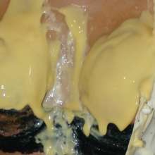 LeRex: Custard so good