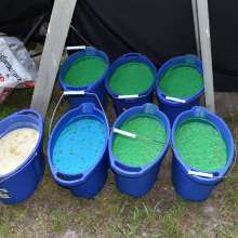 JD and Messy Andi: No Green Slime Today?