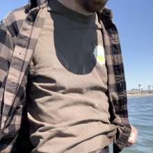 swimsagger: seashell searching