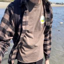 swimsagger: seashell searching
