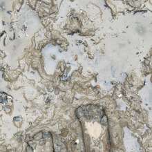 squishytoes: Muddy Feet