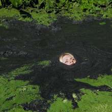 QS4Ever: Lucy Kitty in Too Obvious Swamp