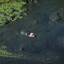 QS4Ever: Lucy Kitty in Too Obvious Swamp