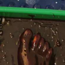 MontyBurns: Messy Monty's Chocolate Foot!