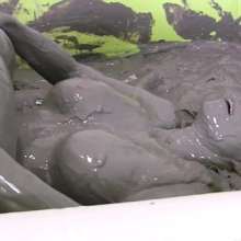 LeRex: Muddy marvellous