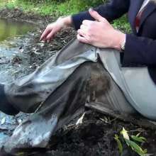 custardcouple: Muddy Lost Dog