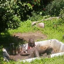 Thefetishgirl: Muddy Mud Play