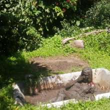 Thefetishgirl: Muddy Mud Play