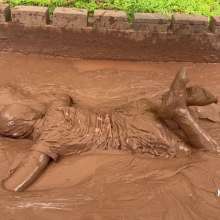 Messygirl: Muddy Schoolgirl Celeste
