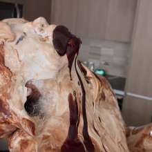 Messygirl: Orgasmic and Gooey Jasmine