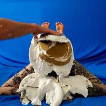 The Man and The Wife: New Download- "Quickie #21: Stephanie Bunny Pose Pied and Slimed"