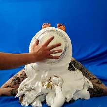 The Man and The Wife: New Download- "Quickie #21: Stephanie Bunny Pose Pied and Slimed"