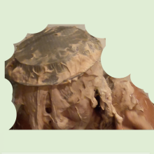 luvs2pie: 