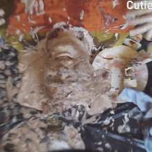 Cutiepied-production: Sloave : Dominated and Humiliated by Girlfriend