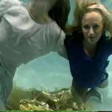 wamtec: Underwater Dresses and Pantyhose