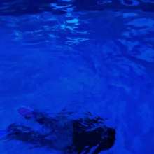 Wet Orchid: Wet Orchid Falls In Pool While Using The Skimmer