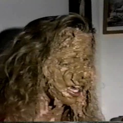 ruhg123: My favorite WAM, decorated faces, laying down WAM