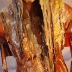 gungeychris: Meg's Underwear Photoshoot with a foody twist!