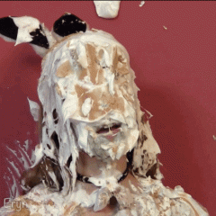 Mr_Pies: 