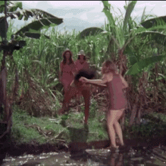 stewy18: Pam Grier Mud Wrestling Gifs