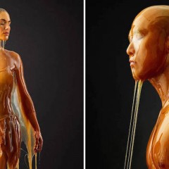 jilly: Nudes covered in honey (with a gif!)