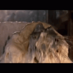 stewy18: Requested gifs from tumblr